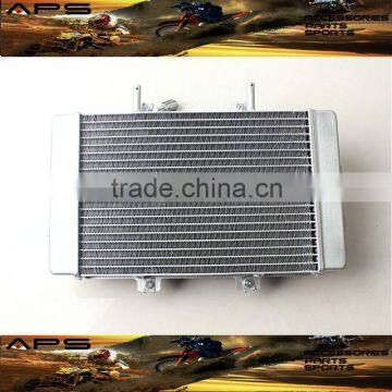 ATVs Parts Radiator Assembly for BUYANG FA-D300 H300 Quad Bike photo-2