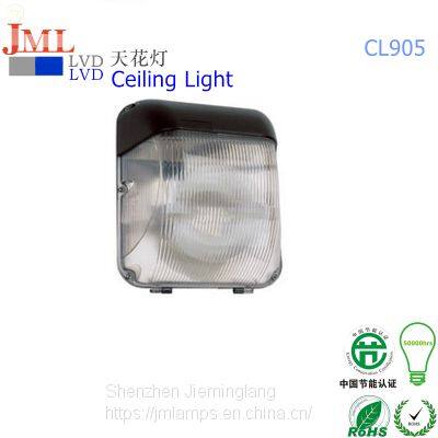 Outdoor Park Light Ceilging Light With Fixture Floodlight 40W 60W 80W 100W 5years Warranty Permanent Life photo-4