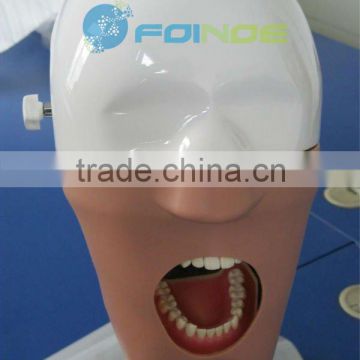 Dental head phantom --NEW PRODUCT --CE Approved)--