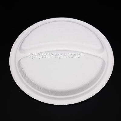 Disposable Biodegradable 9INCH 2C PLATE Take Away Sugarcane photo-4