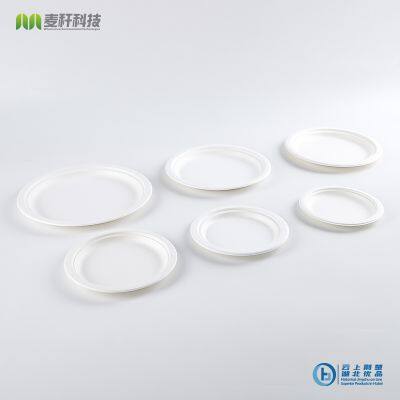 Disposable Biodegradable 6 INCH PLATE Take Away Sugarcane Outdoor Dining and Painting