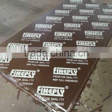 Shuttering Plywood(Poplar)