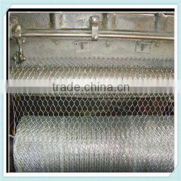 1" *1'' Hot Dipped Galvanized Hexagonal Wire Mesh