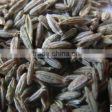 Cumin Seeds