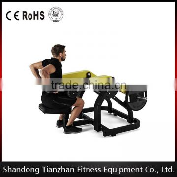 TZ-6072 Triceps Dip Heavy Duty Gym Machine / Fitness Equipment