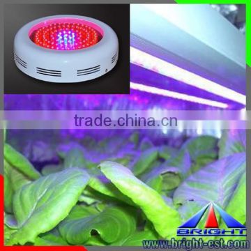 China Manufacturer LED Lamps LED Grow Light