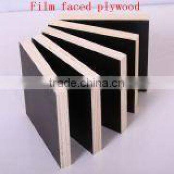 Film Faced Plywood, Black Film Faced Plywood photo-4