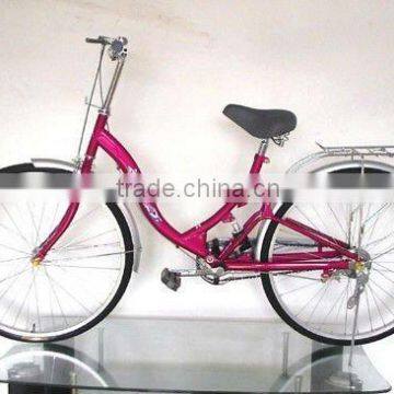 2013 New style city bike