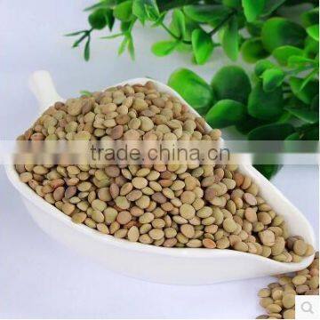 2015Crop Chinese green lentils