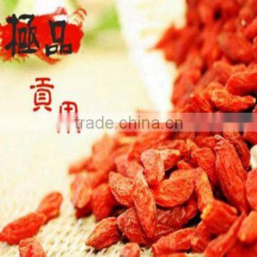 ISO 9001 Goji Berry photo-4