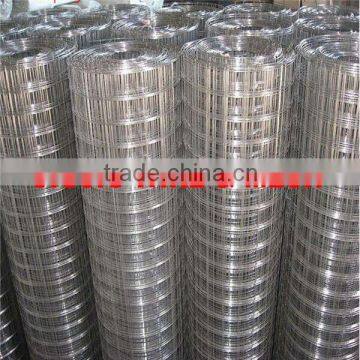 Anping JIUJIU Galvanized welded wire mesh best quality price