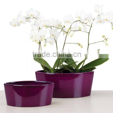 glazed orchids ceramic garden pots