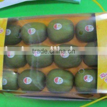 Sweet Fresh Kiwi Fruits Hot Sale