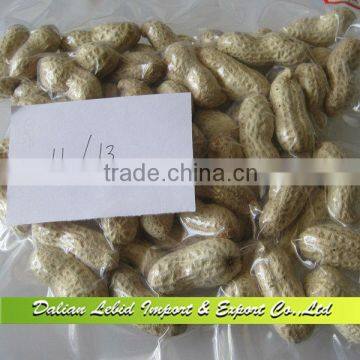 Shandong Origin Peanut Inshell Top Quality, Price of Peanut size:11/13,Hot Sale