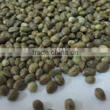 Hempseed for Bird Feed