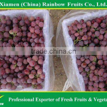 Chinese Fresh Delicious Red Table Globe Grape Wine Grapes photo-4