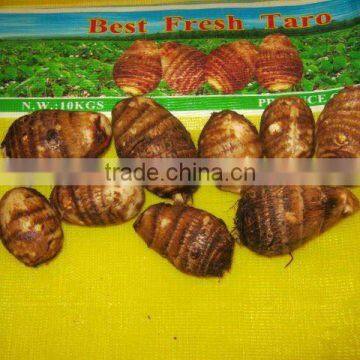 2013 new fresh taro on hot sale