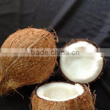 Indian Organic natural coconut