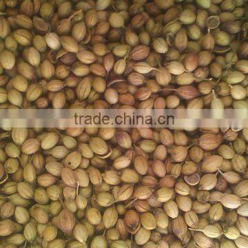 coriander seed