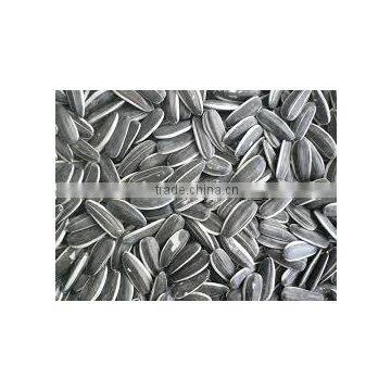 factory supply bulk organic 5009 sunflower seeds organic sunflower seeds in shell