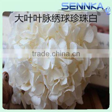 Hight Quality Snow White preserved flower hydrangea Wedding gifts for guests