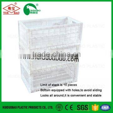 Plastic Poultry Transport Farm Egg Crate Chicken Cage for Sale photo-4