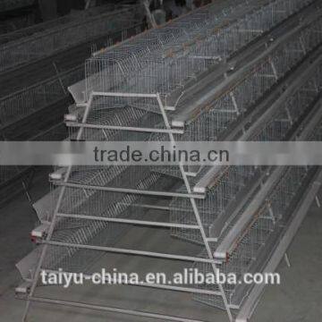 Poultry Farming Cages in Kenya photo-3