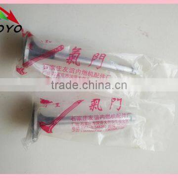 Brand New Delivery Suction and Delivery Valve photo-3