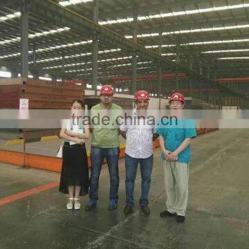 Electrical Truck Scale/ Weighbridge in High Quality for Sale photo-4