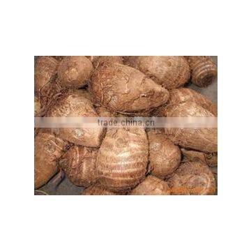 Insulated Refrigerated Van Cargo Truck Refrigerated Truck Bodies With Shelf photo-3