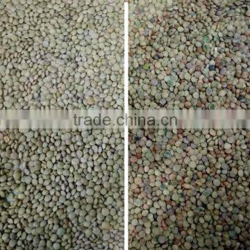 High Capacity Dal Optical Color Sorter in Agriculture photo-5