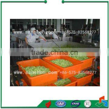 Vegetable and Fruit Drying Machine photo-5