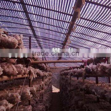 Plastic Film Products Mushroom Greenhouse Film for Agriculture photo-4