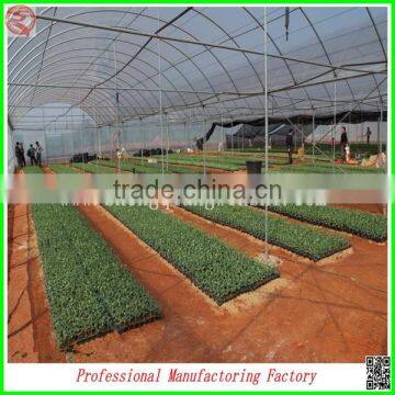 Plastic Film Commercial Greenhouse for Tomatoes With Arched Type photo-3