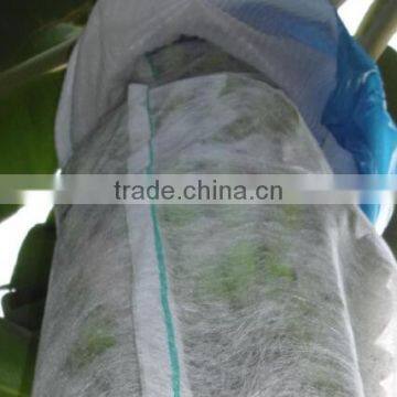 Non Woven Banana Bags photo-3