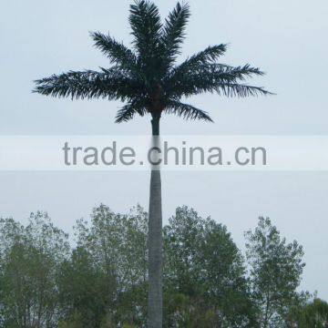 Artificial Palm Tree Fiberglass Outdoor Coconut Tree Sale Fake Tree photo-2