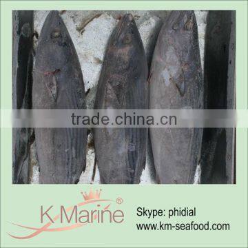 2015 Tuna Factory Supply Small Size Baby Tuna