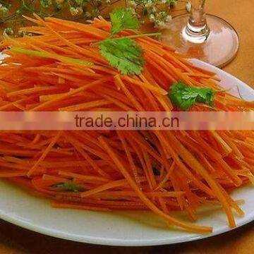 Chinese Fresh Carrots for Export photo-5