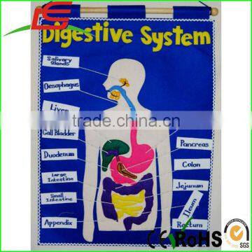 Baby Toys My Numbers Clown Digestive System Fabric Wall Chart