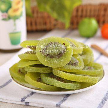 Kiwifruit Slice Drying Machine photo-4