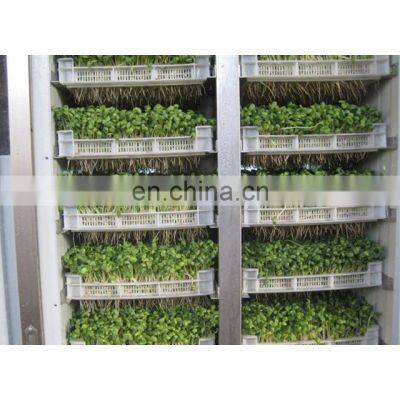 Cheap price Green Bean Seed Sprouts Sprouter Maker Sprout Growing Machine