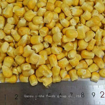 Factory's Hot Selling Freeze Dried Sweet Corn photo-3