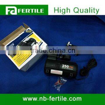 12v Mini Air Compressor 300000