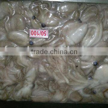 Whole Baby Octopus Fish Clean