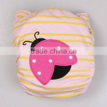 Newest Style Cloth Diaper Embroidered Charocal Diaper