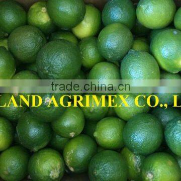 FRESHLY FRESH GREEN LIME FOR SALE