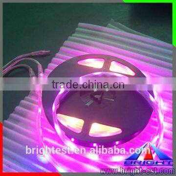 UCS 1903 IC 5050 Pixel Magic Strip LED Dream color DMX