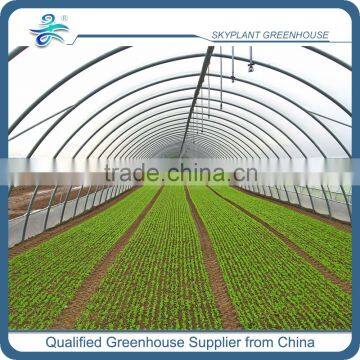 Greenhouse Spray Irrigation System for Vegetables Quality Choice photo-3