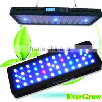 Evergrow IT2060 Remote Dimmable 120w LED Aquarium Light for SPS Corals