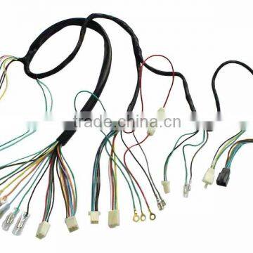 Wiring Loom for Automotive